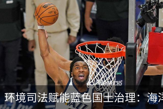 环境司法赋能蓝色国土治理：海洋生态保护案例规则梳理