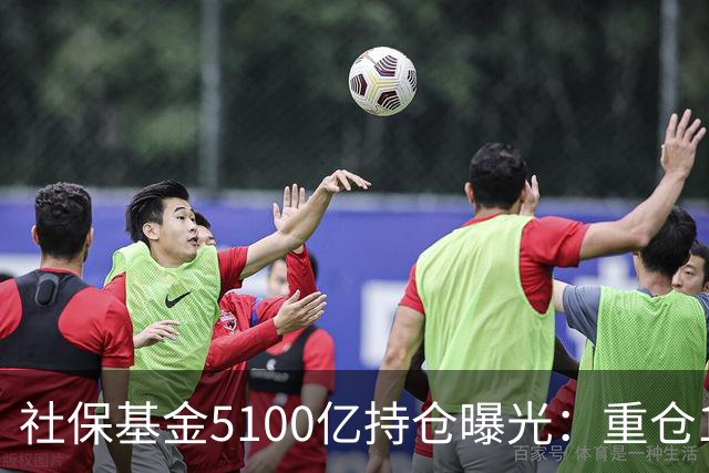 社保基金5100亿持仓曝光：重仓1700亿龙头股，加码硬科技